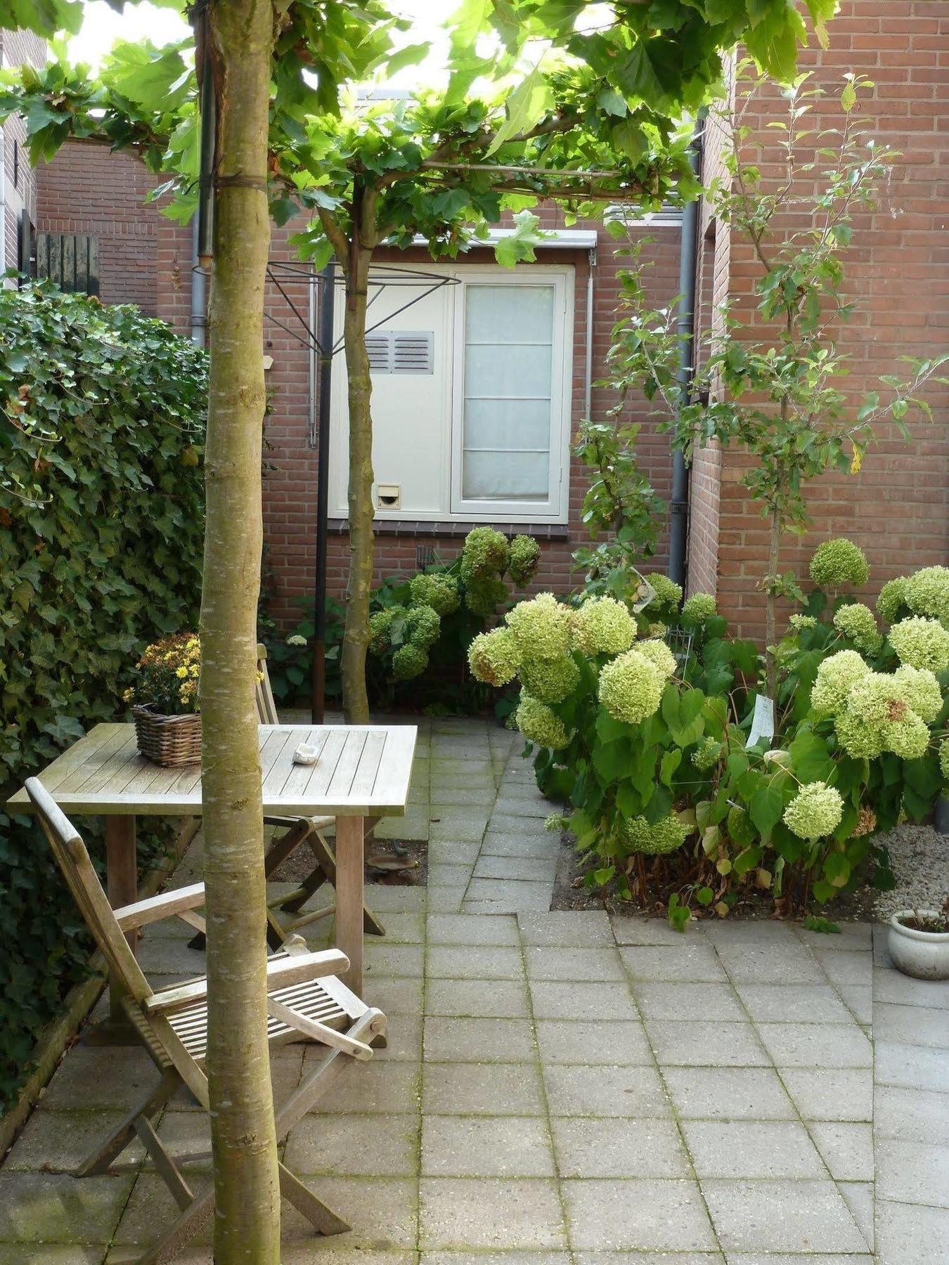 Hotel Het Oude Postkantoor Brummen Exterior photo